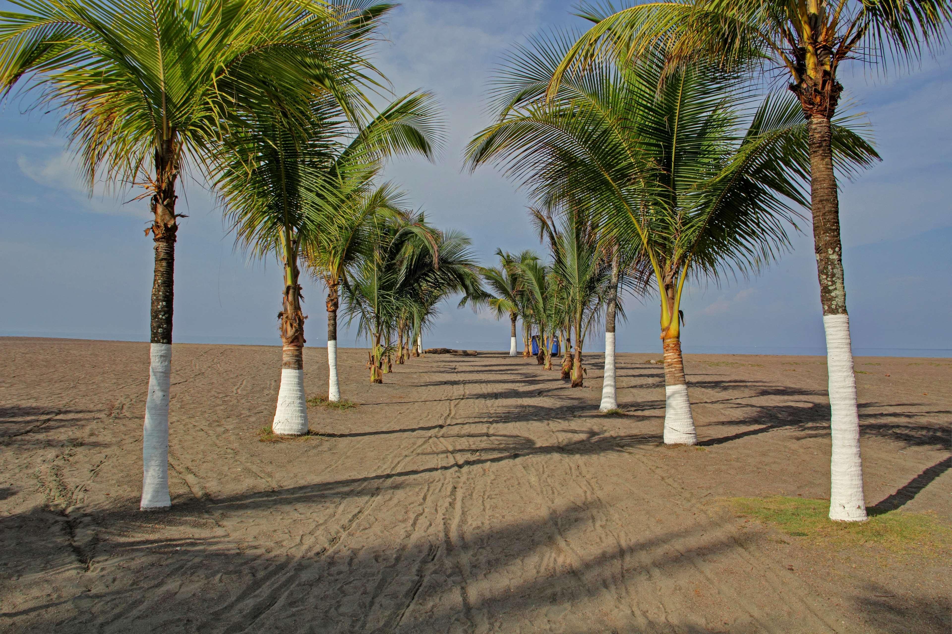Best Western Jaco Beach All Inclusive Resort Kültér fotó